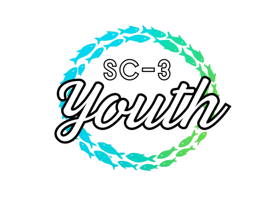 Sc-3 (2)